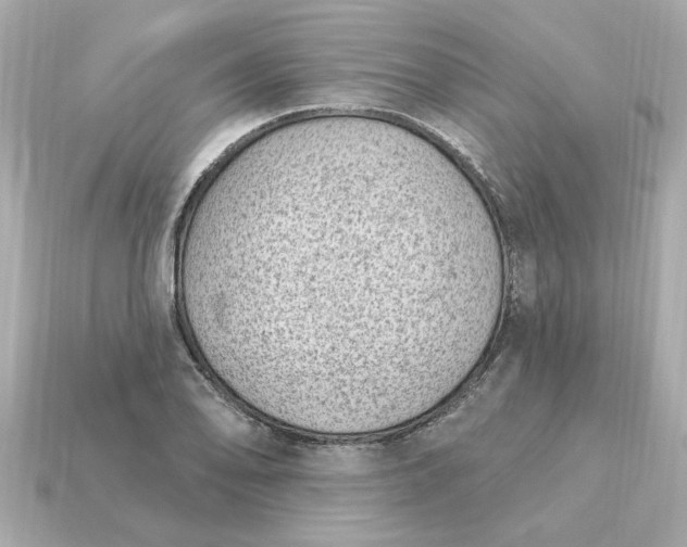 X0000115161078200911101745