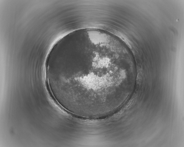X0000115161080200911101745
