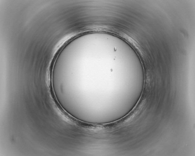 X0000115161082200911101745