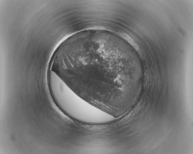 X0000115161084200911101745