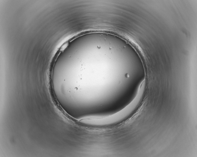 X0000115161085200911101745