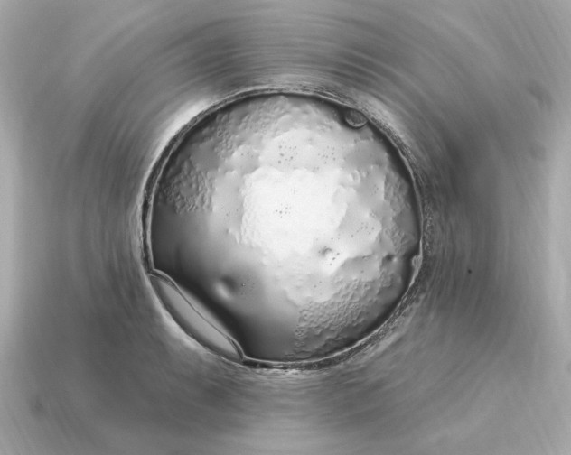 X0000115161087200911101745