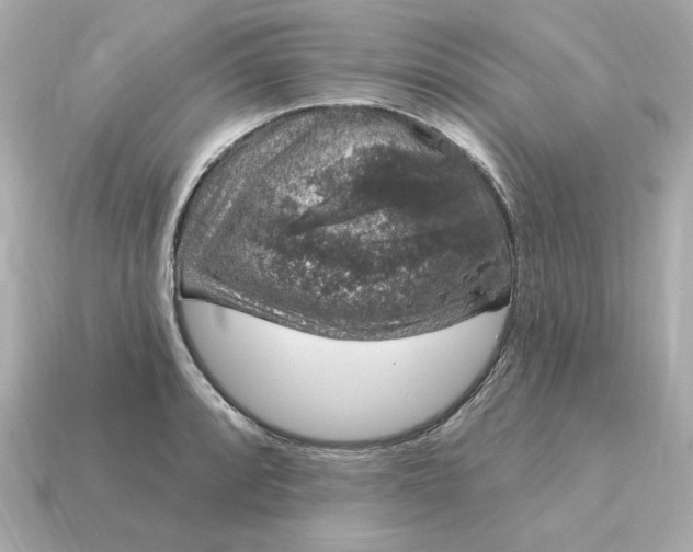 X0000115161088200911101745