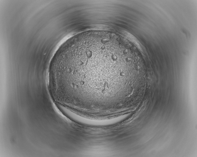 X0000115161095200911101745