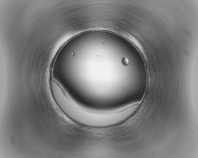 X0000115161096200911101745
