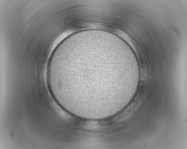 X0000115161098200911101745