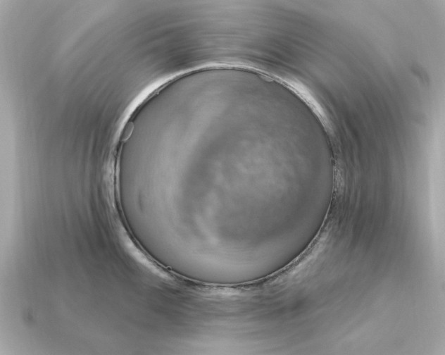X0000115161100200911101745