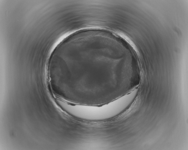 X0000115161101200911101745