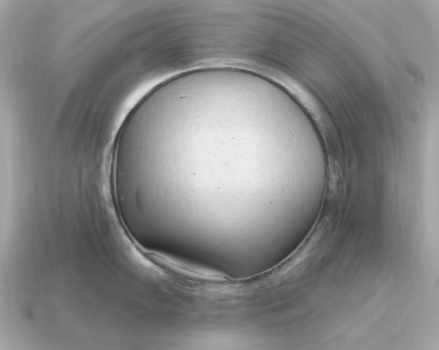 X0000115161102200911101745