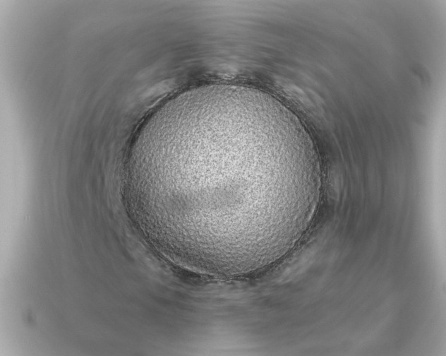 X0000115161105200911101744