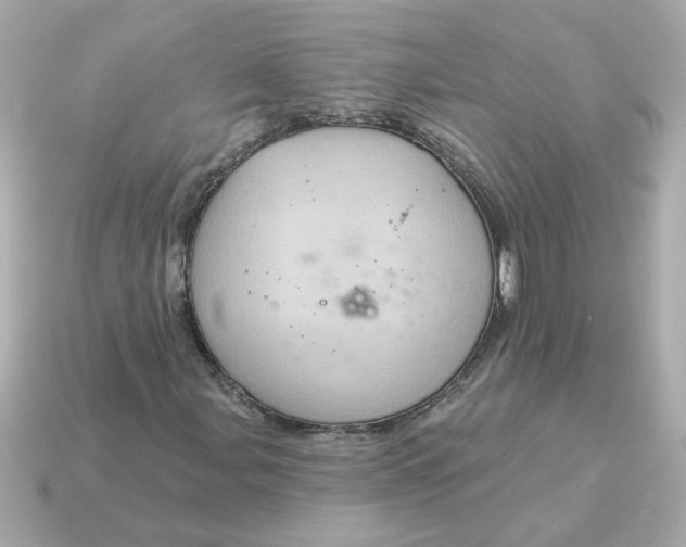 X0000115161107200911101744