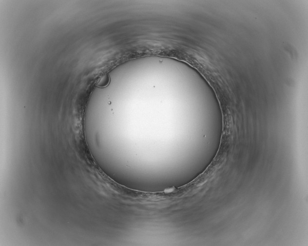 X0000115161109200911101744