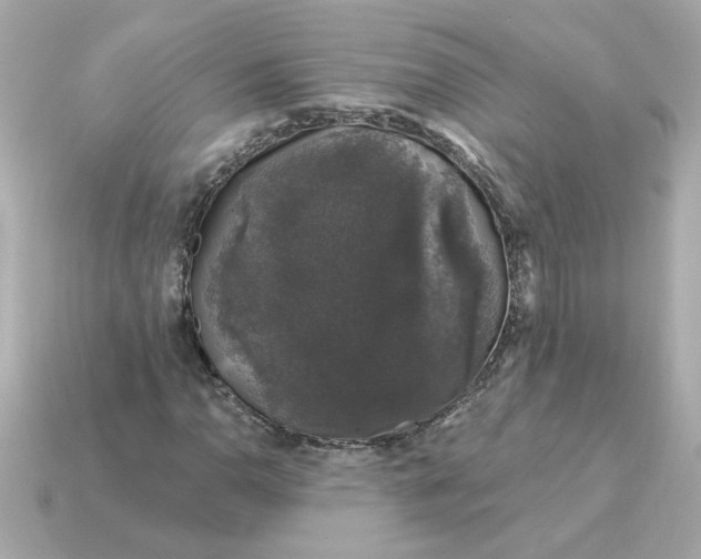 X0000115161110200911101744