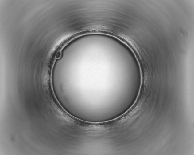 X0000115161115200911101744