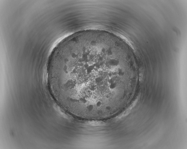 X0000115161117200911101744