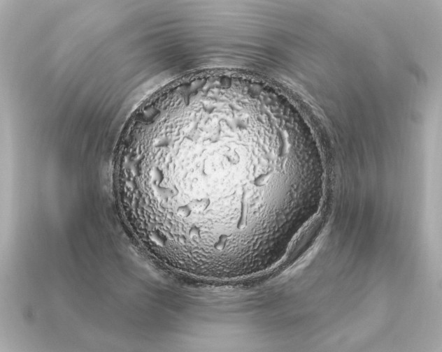 X0000115161121200911101744