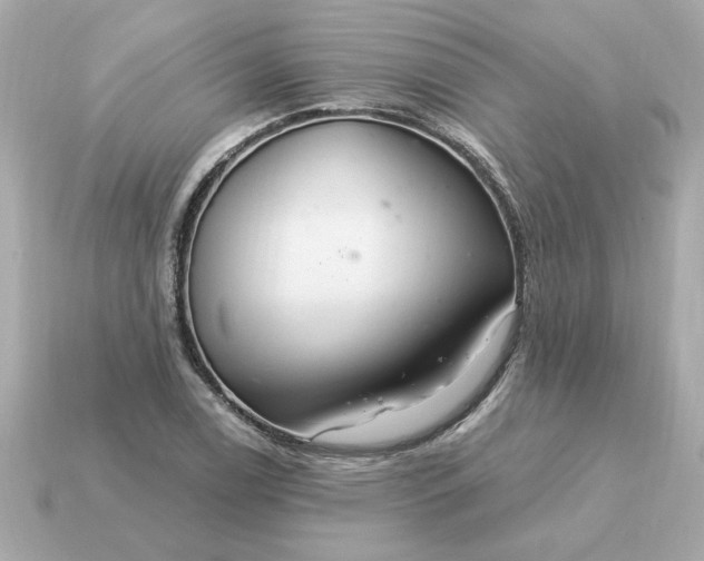 X0000115161122200911101744