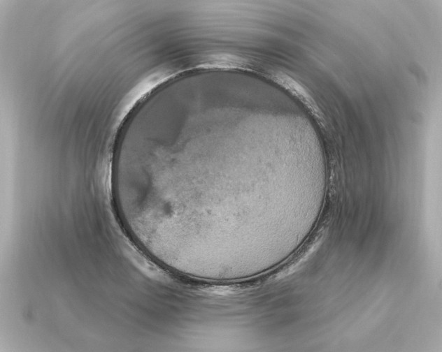 X0000115161130200911101744