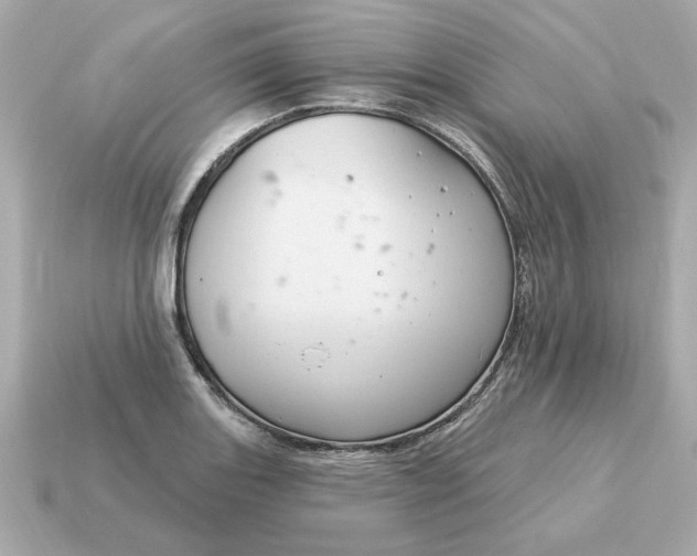X0000115161131200911101744