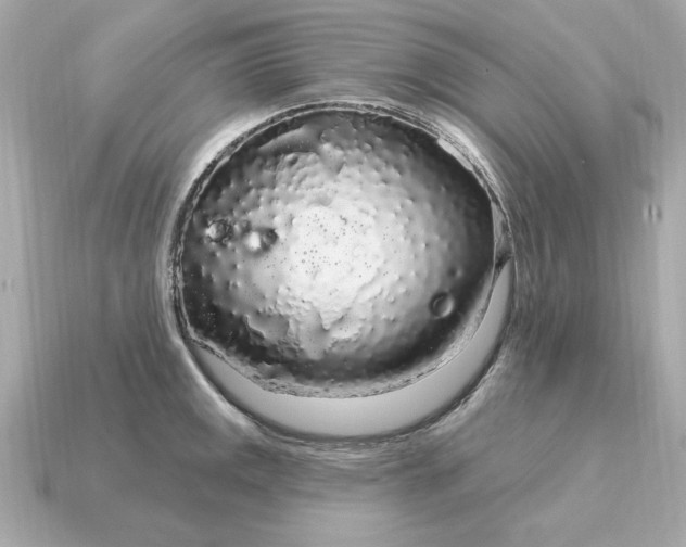 X0000115161141200911101744