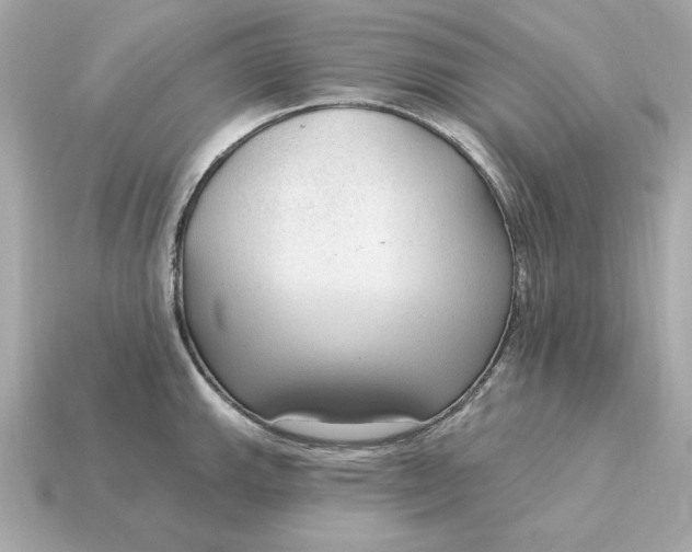 X0000115161143200911101744