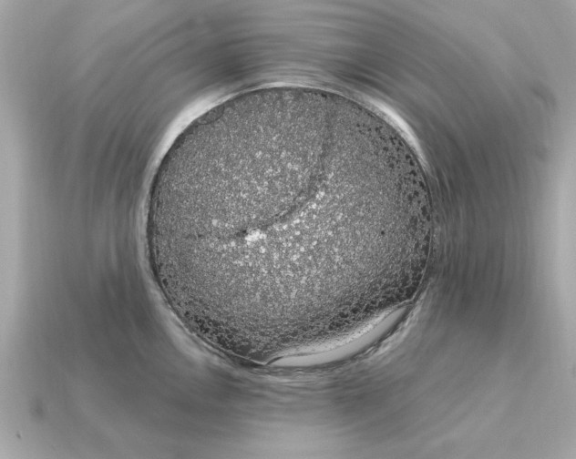 X0000115161146200911101744