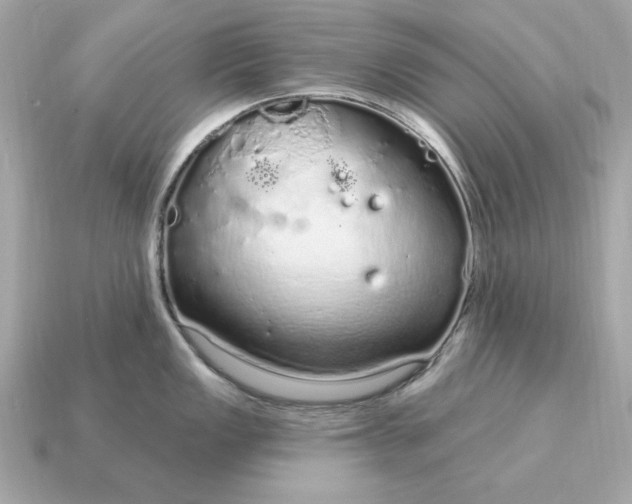 X0000115161149200911101744