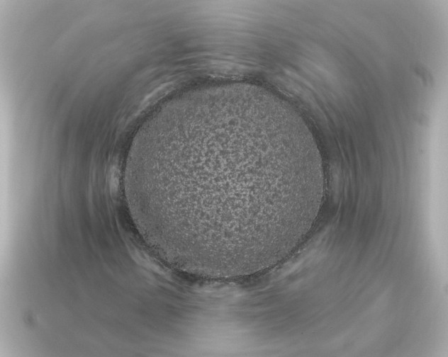 X0000115161154200911101744