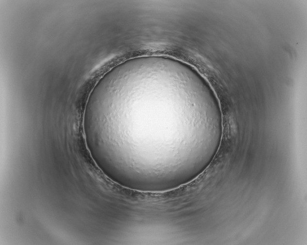 X0000115161158200911101744