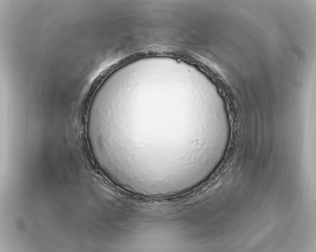 X0000115161160200911101744