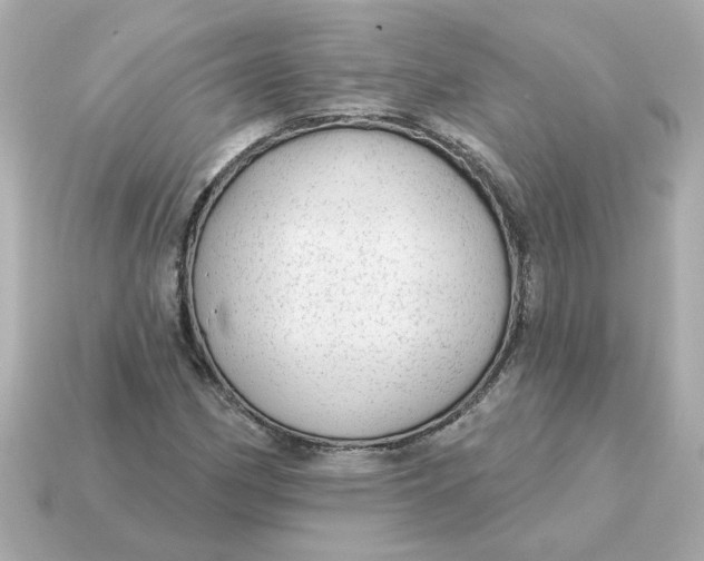 X0000115161162200911101744