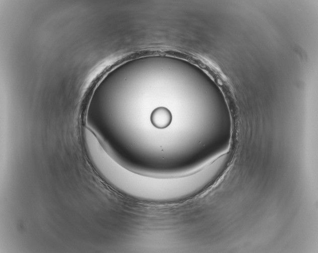 X0000115161167200911101744