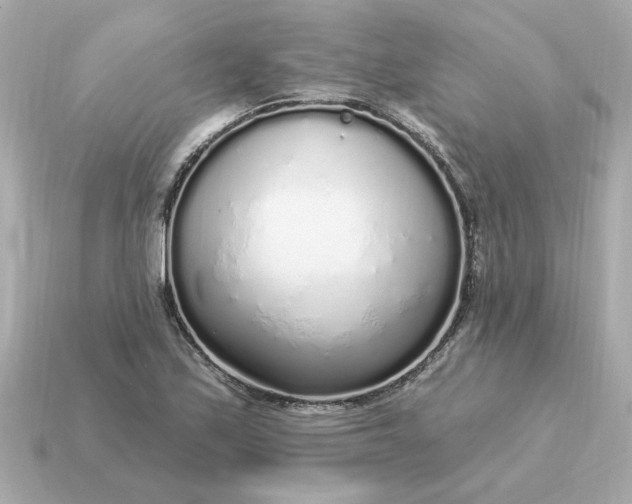 X0000115161171200911101744