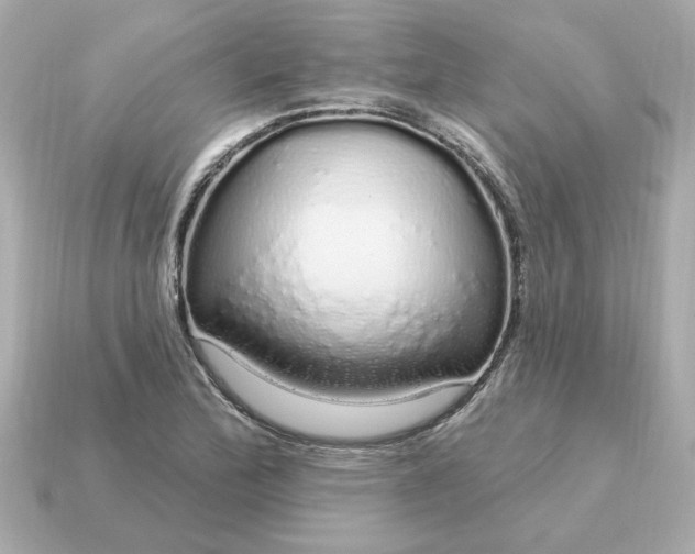 X0000115161172200911101744