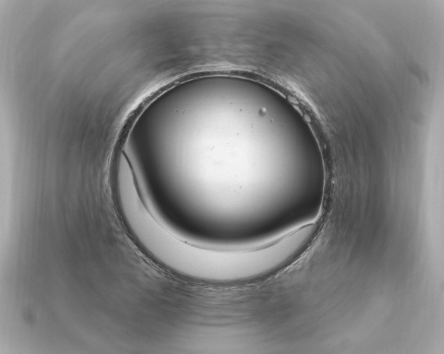 X0000115161173200911101744