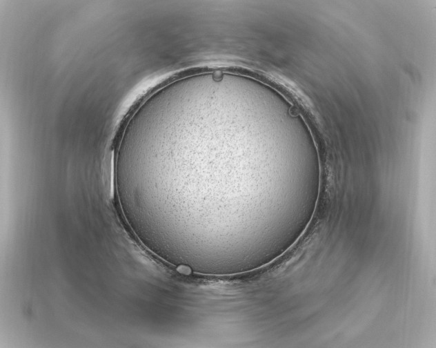 X0000115161175200911101744