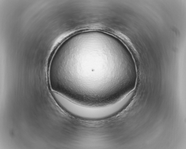 X0000115161176200911101744