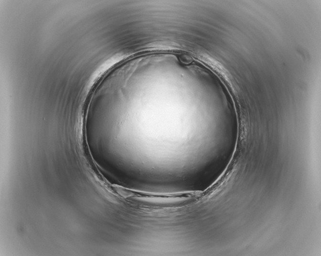 X0000115161179200911101744