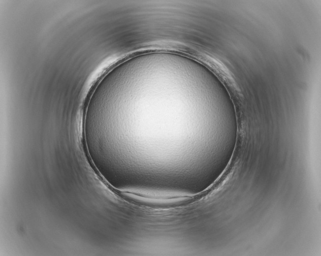 X0000115161180200911101744