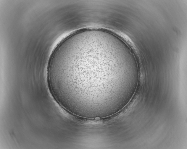 X0000115161183200911101743