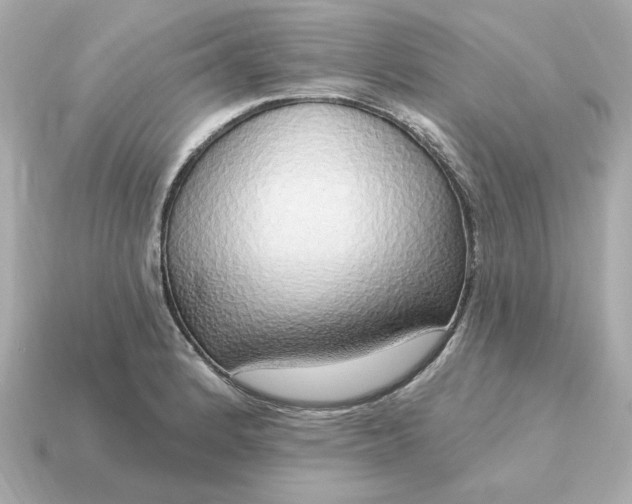 X0000115161184200911101743