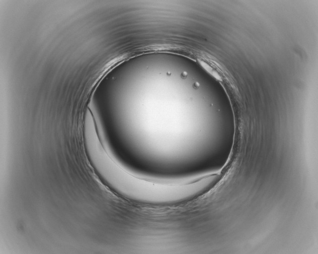X0000115161185200911101743