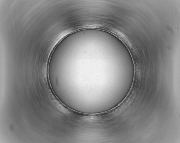 X0000115161186200911101743