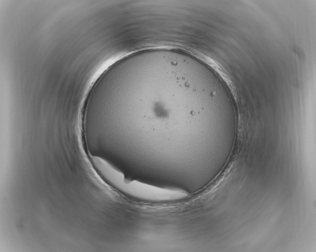 X0000115161187200911101743