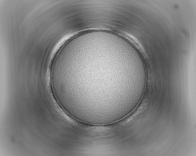X0000115161188200911101743