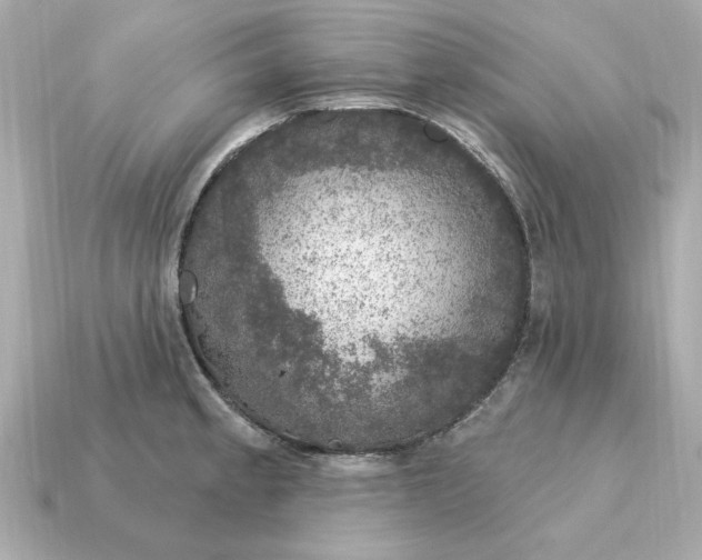 X0000115161189200911101743