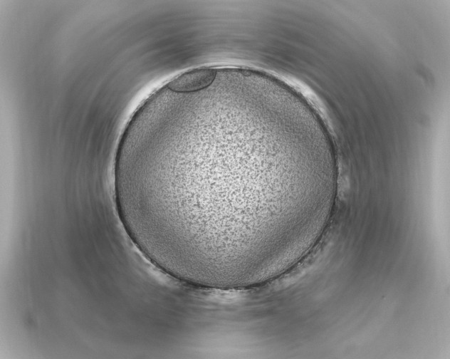 X0000115161191200911101743