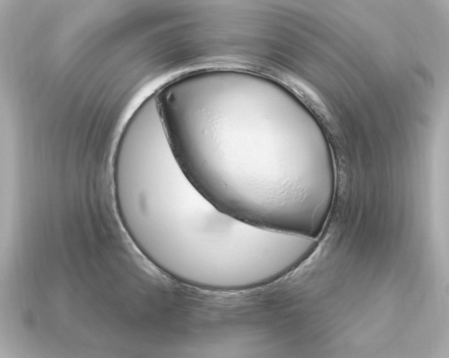 X0000115161192200911101743