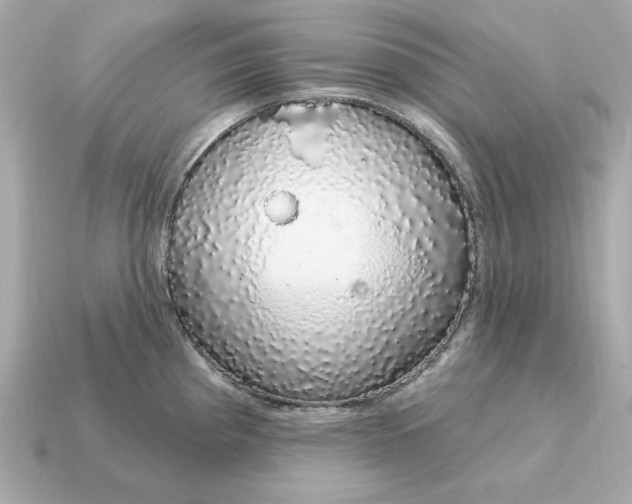 X0000115161193200911101743