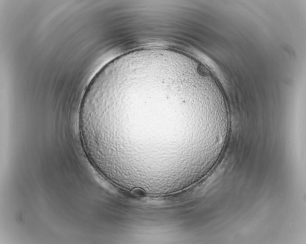 X0000115161194200911101743